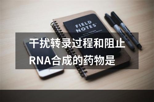 干扰转录过程和阻止RNA合成的药物是