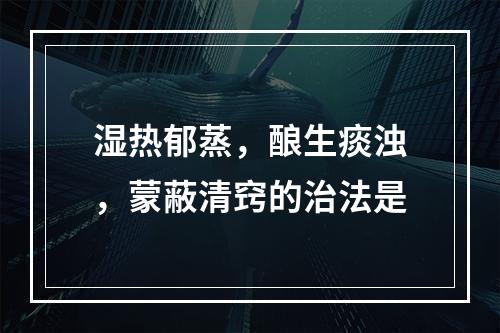 湿热郁蒸，酿生痰浊，蒙蔽清窍的治法是