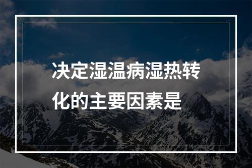 决定湿温病湿热转化的主要因素是