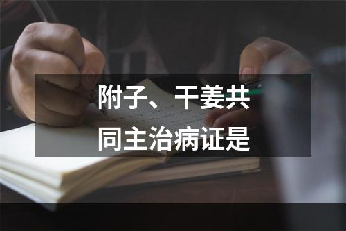 附子、干姜共同主治病证是