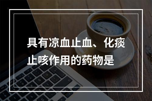 具有凉血止血、化痰止咳作用的药物是