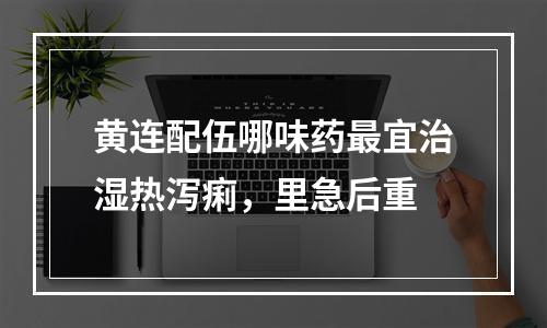 黄连配伍哪味药最宜治湿热泻痢，里急后重