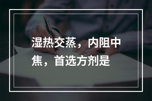 湿热交蒸，内阻中焦，首选方剂是