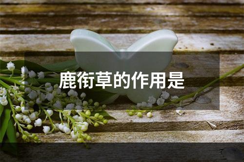 鹿衔草的作用是