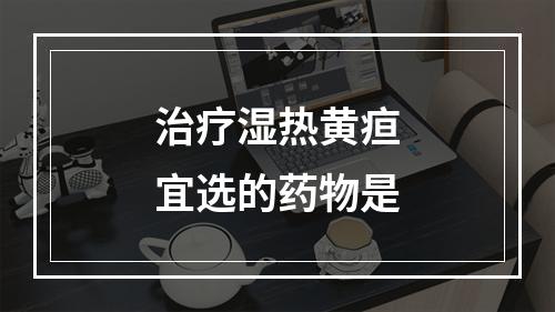 治疗湿热黄疸宜选的药物是