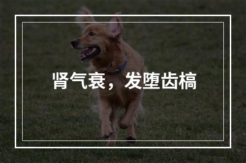 肾气衰，发堕齿槁