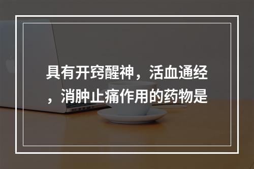 具有开窍醒神，活血通经，消肿止痛作用的药物是