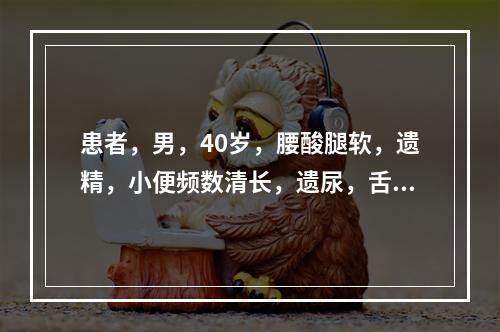 患者，男，40岁，腰酸腿软，遗精，小便频数清长，遗尿，舌润苔