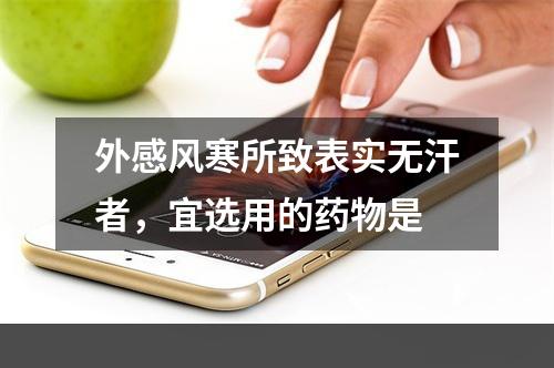 外感风寒所致表实无汗者，宜选用的药物是