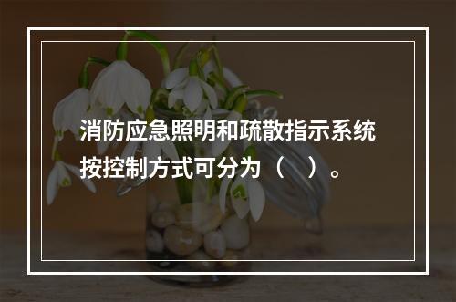 消防应急照明和疏散指示系统按控制方式可分为（　）。