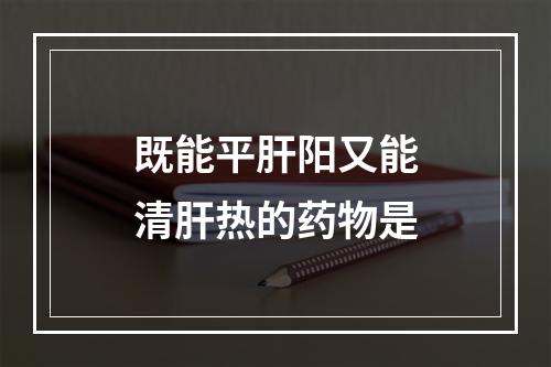 既能平肝阳又能清肝热的药物是