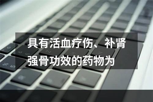 具有活血疗伤、补肾强骨功效的药物为