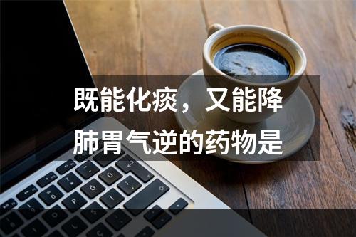 既能化痰，又能降肺胃气逆的药物是