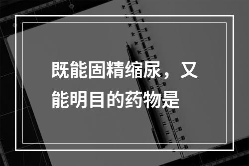 既能固精缩尿，又能明目的药物是