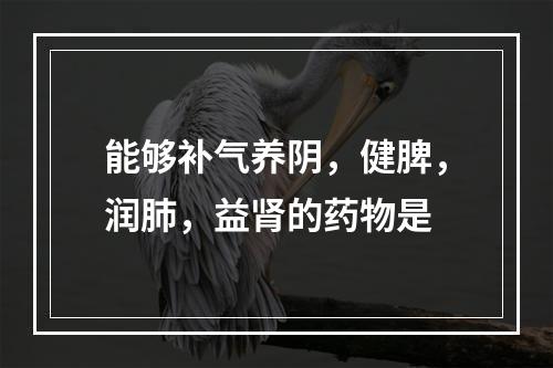 能够补气养阴，健脾，润肺，益肾的药物是