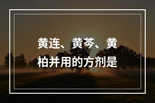 黄连、黄芩、黄柏并用的方剂是