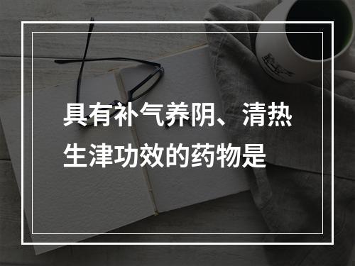 具有补气养阴、清热生津功效的药物是