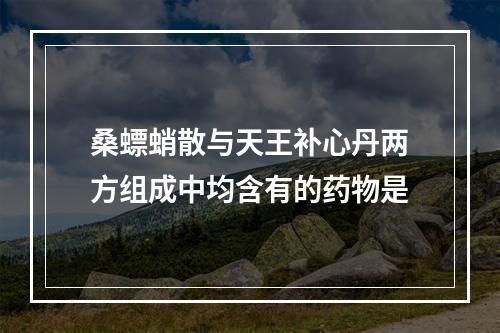 桑螵蛸散与天王补心丹两方组成中均含有的药物是