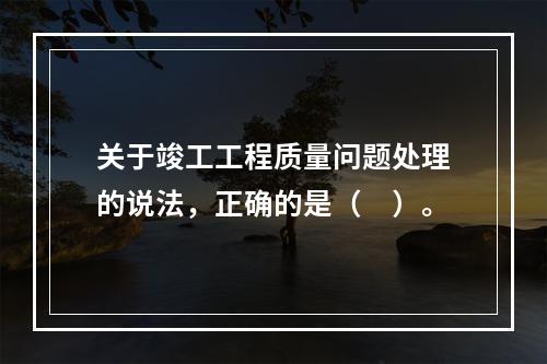 关于竣工工程质量问题处理的说法，正确的是（　）。