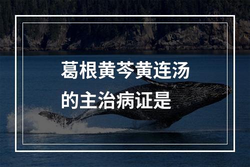 葛根黄芩黄连汤的主治病证是