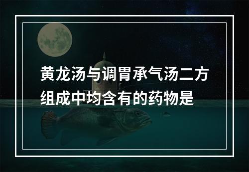 黄龙汤与调胃承气汤二方组成中均含有的药物是