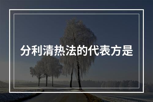 分利清热法的代表方是