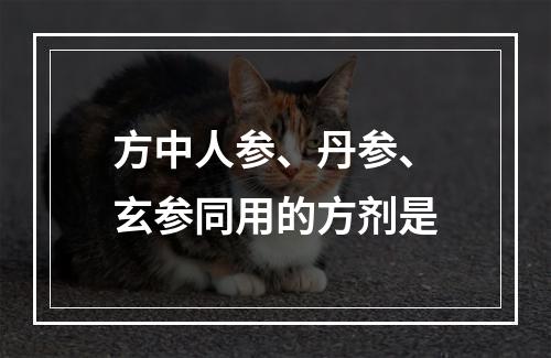 方中人参、丹参、玄参同用的方剂是