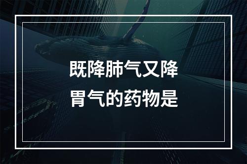 既降肺气又降胃气的药物是