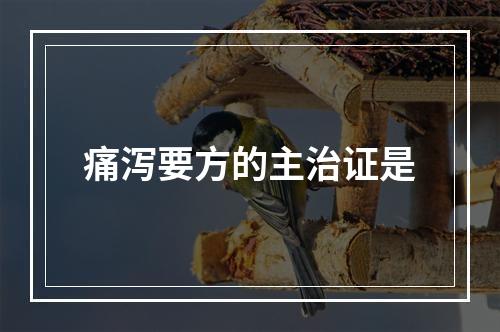 痛泻要方的主治证是