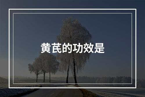 黄芪的功效是