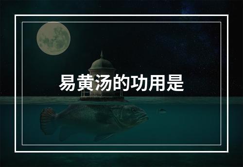 易黄汤的功用是