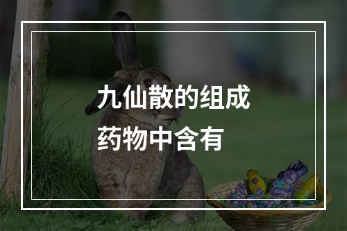 九仙散的组成药物中含有