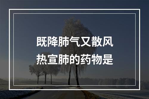 既降肺气又散风热宣肺的药物是