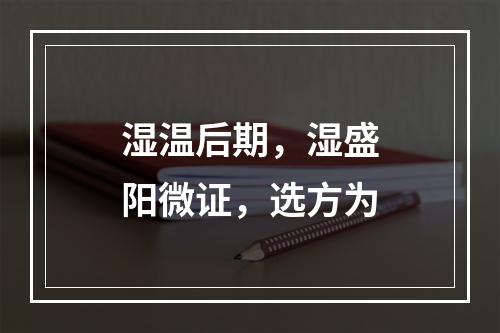 湿温后期，湿盛阳微证，选方为