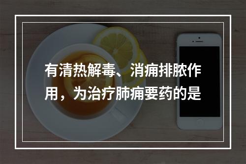 有清热解毒、消痈排脓作用，为治疗肺痈要药的是