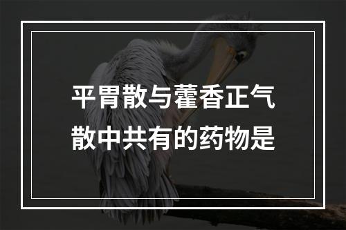 平胃散与藿香正气散中共有的药物是