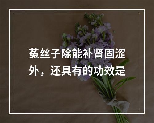 菟丝子除能补肾固涩外，还具有的功效是