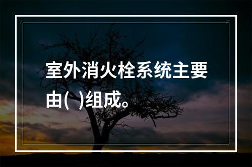 室外消火栓系统主要由(  )组成。