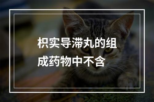 枳实导滞丸的组成药物中不含