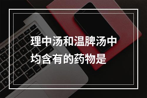 理中汤和温脾汤中均含有的药物是