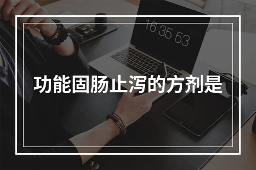 功能固肠止泻的方剂是