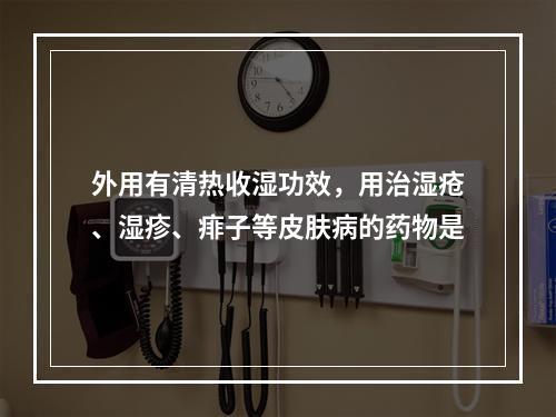 外用有清热收湿功效，用治湿疮、湿疹、痱子等皮肤病的药物是