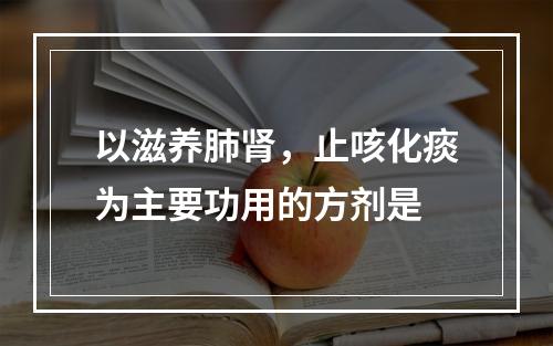 以滋养肺肾，止咳化痰为主要功用的方剂是