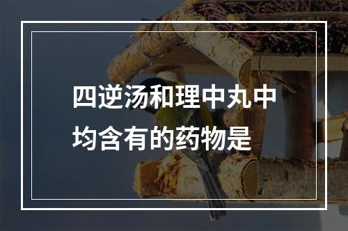 四逆汤和理中丸中均含有的药物是