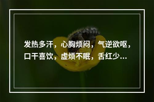 发热多汗，心胸烦闷，气逆欲呕，口干喜饮，虚烦不眠，舌红少苔，