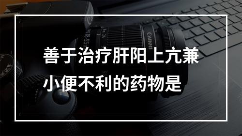 善于治疗肝阳上亢兼小便不利的药物是