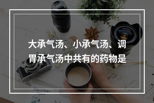 大承气汤、小承气汤、调胃承气汤中共有的药物是