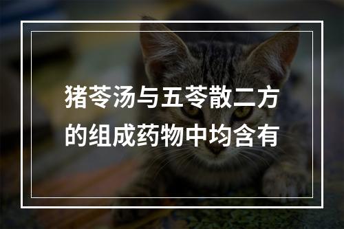 猪苓汤与五苓散二方的组成药物中均含有