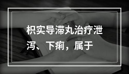 枳实导滞丸治疗泄泻、下痢，属于