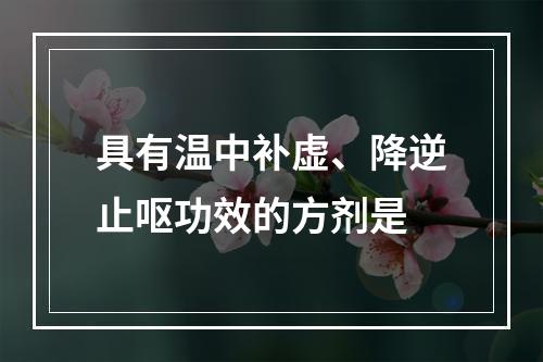 具有温中补虚、降逆止呕功效的方剂是